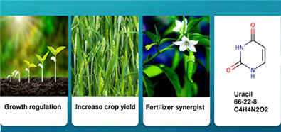 Development History And Applications Of Uracil in Agriculture